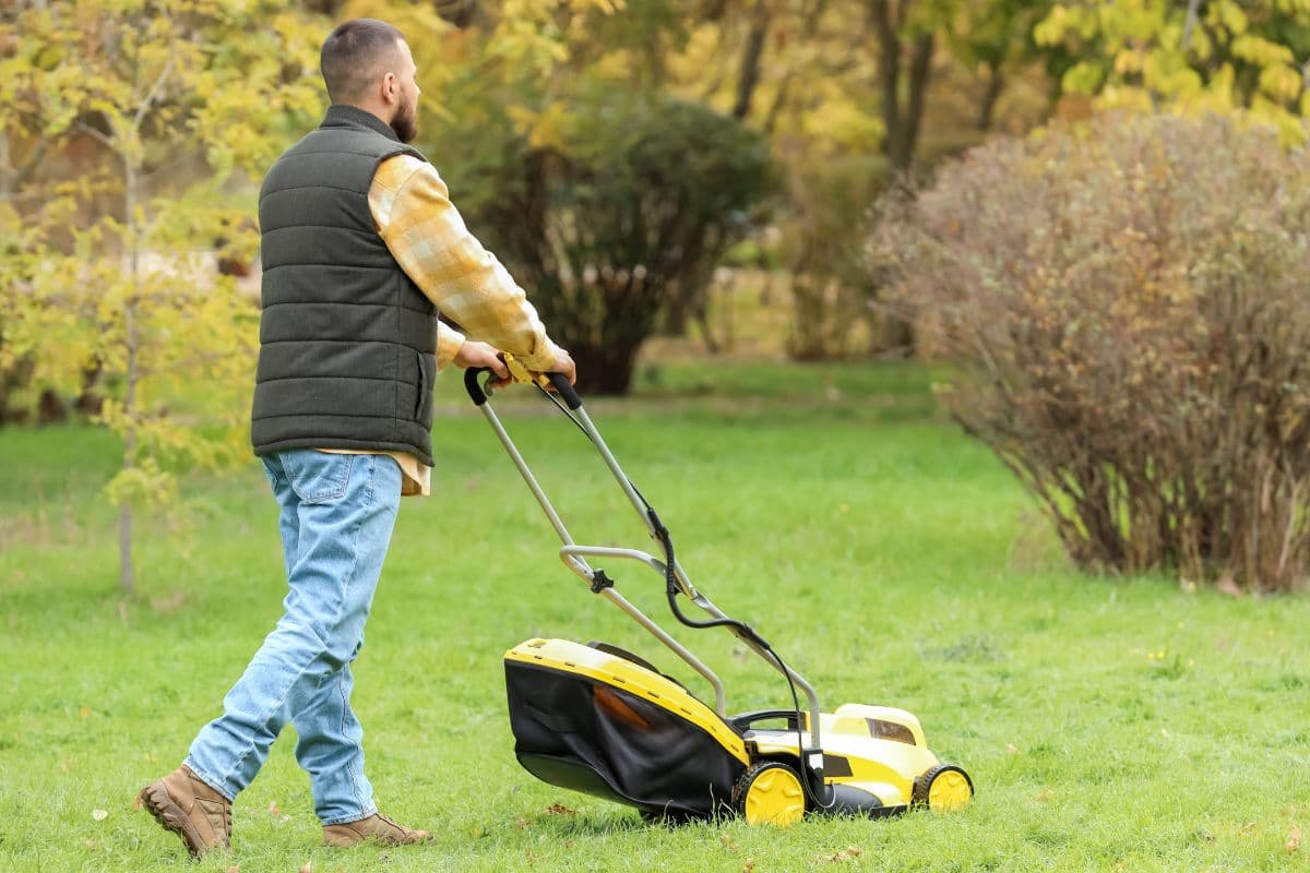 What to plant over and around your septic system