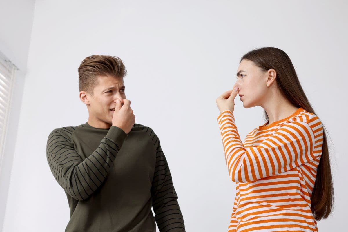 Septic smell inside the house caused by hydrogen sulfide gas from septic system