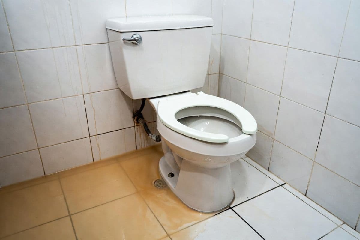 Septic tank backing up into house causing sewage backup