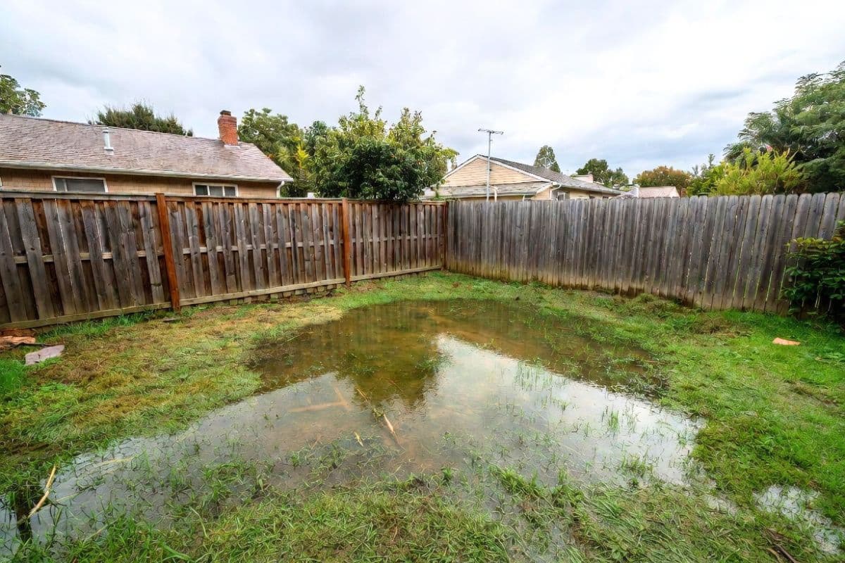 Septic system overflow after heavy rain with saturated drainfield